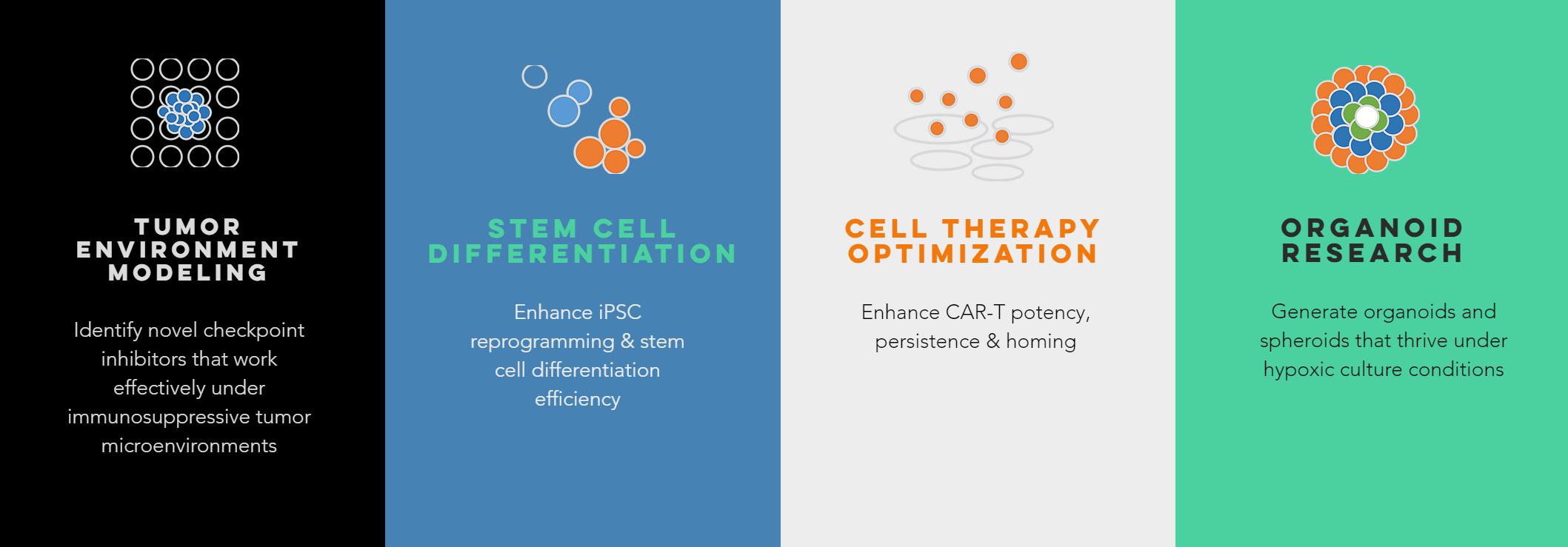 1614320885952886.jpg 5.jpg