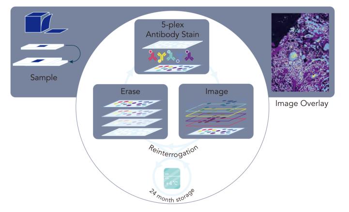 1648452590956518.jpg 图片2.jpg