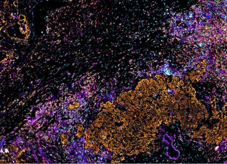 1648452714263880.jpg 图片3.jpg