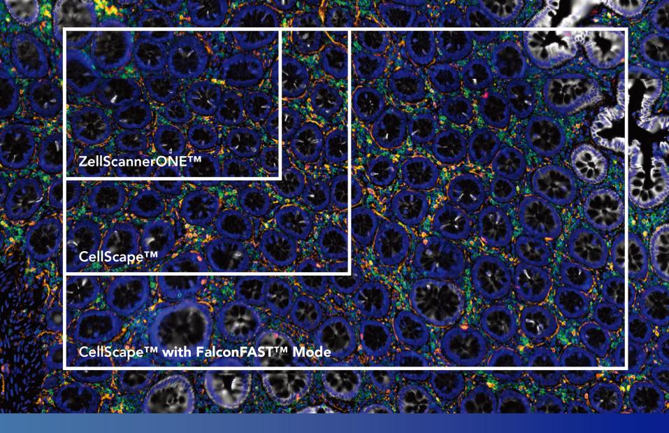 1648452750422131.jpg 图片5.jpg