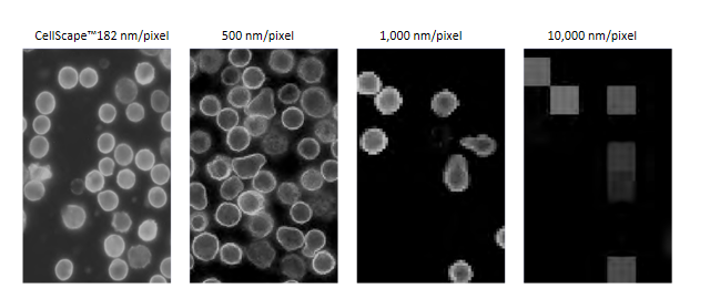 1648452776704497.png 图片6.png