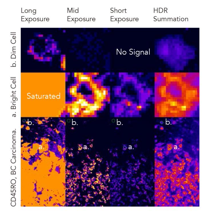1648452797819409.jpg 图片7.jpg
