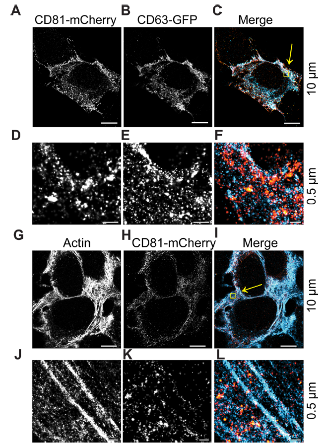 1698914909555281.png 图片3.png