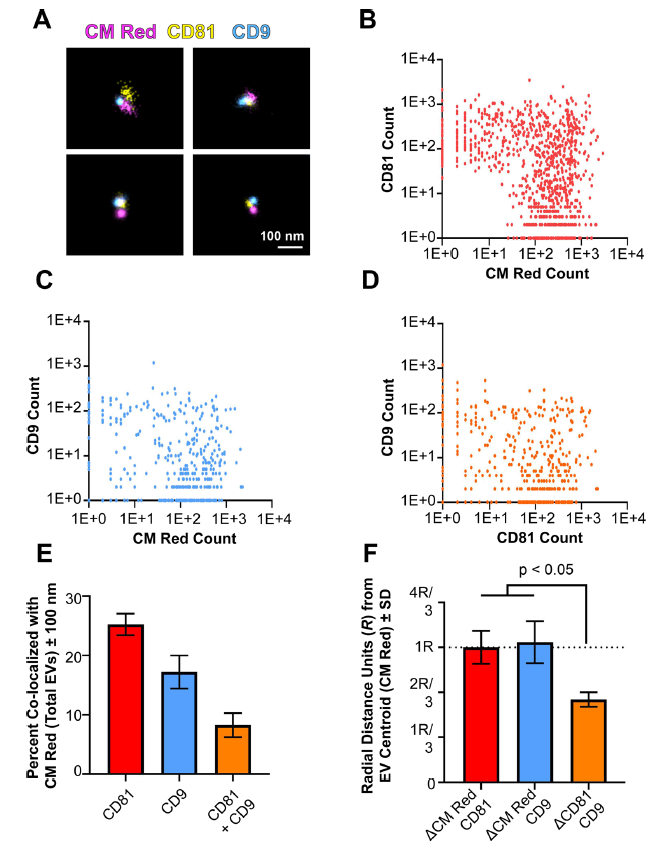 1698915058855473.png 图片8.png