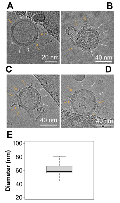 1698915078853686.png 图片9.png