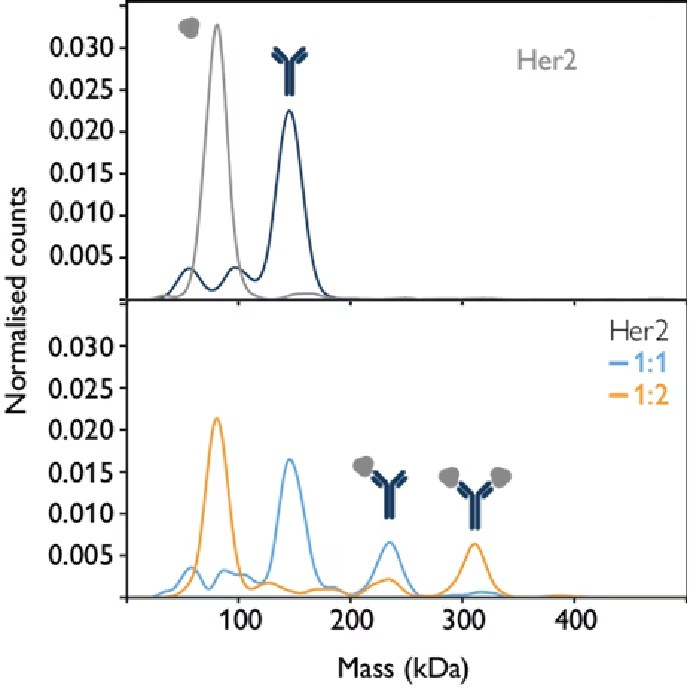 1764118798606242.png 图片10.png