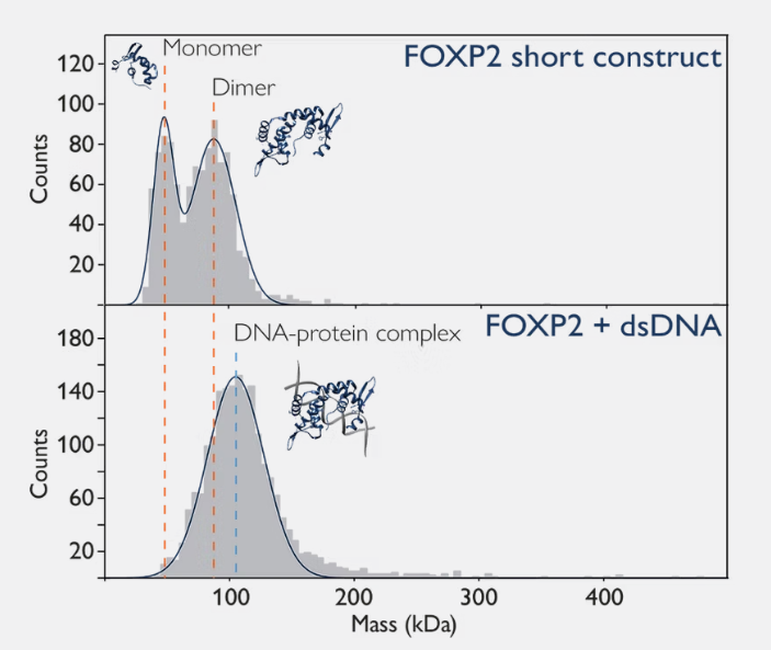 1764118815291109.png 图片11.png