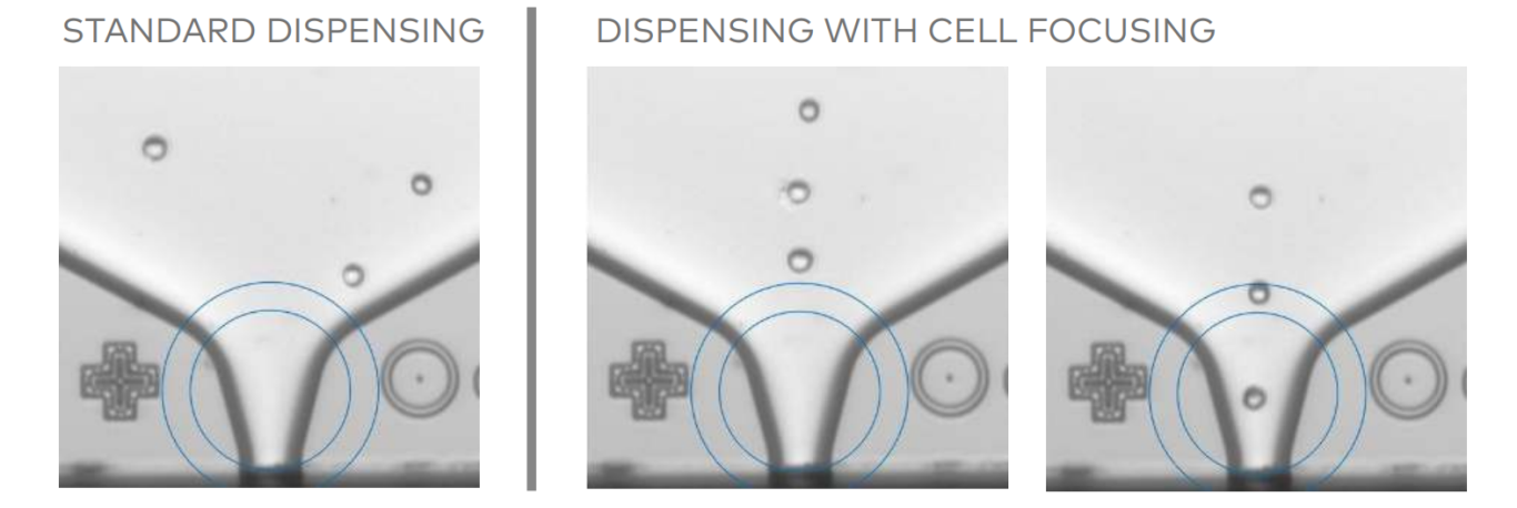 1764853365166182.png 图片1.png