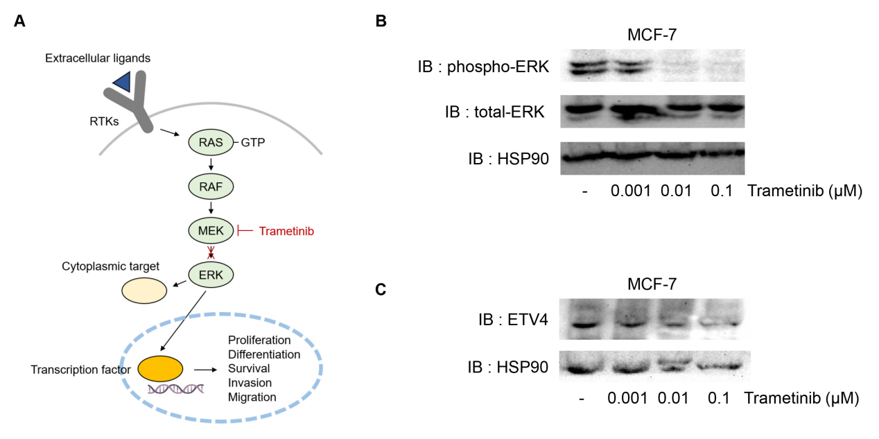 1774489868805860.png 图片2.png