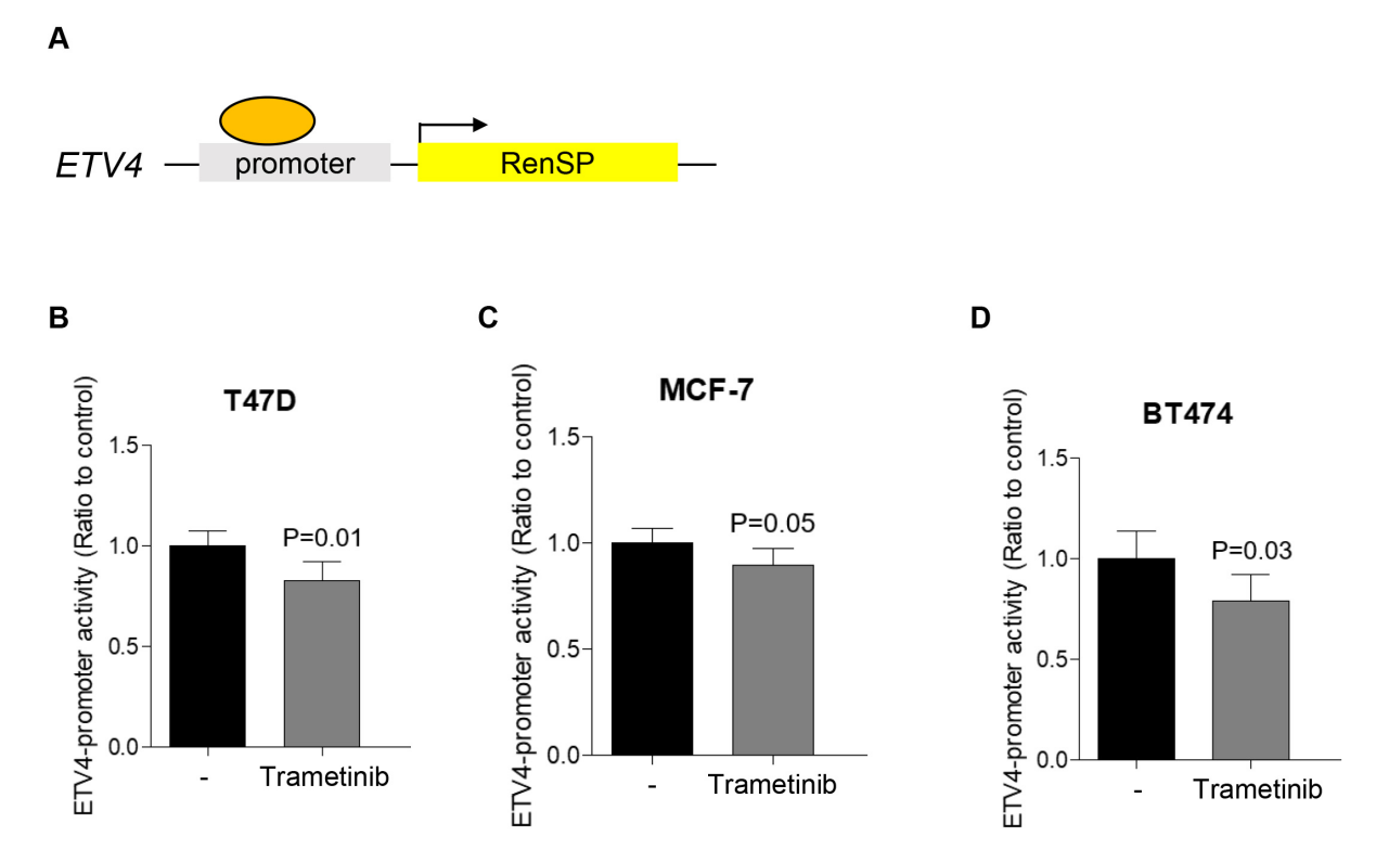 1774489916280726.png 图片3.png