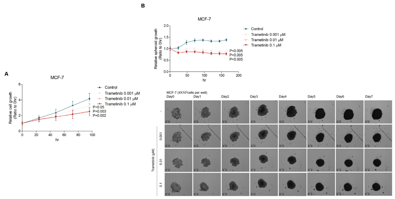 1774489939874014.png 图片4.png