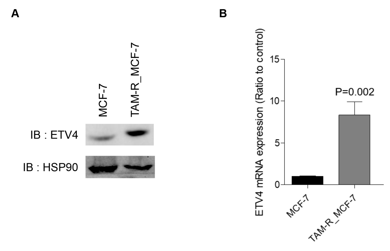 1774489957865153.png 图片5.png